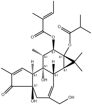12-O-Tiglylphorbol-13-イソブチラート 化学構造式