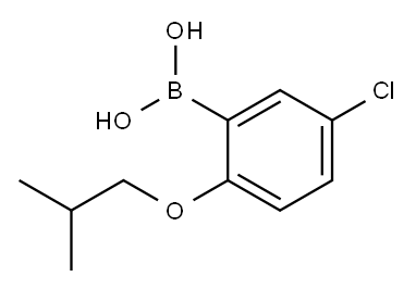 5-氯-2-异丁氧基苯硼酸, 957114-93-1, 结构式