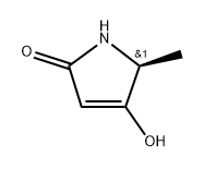 (S)-4-Hydroxy-5-methyl-1H-pyrrol-2(5H)-one Struktur