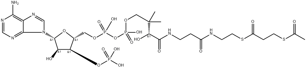 S-acetyl-3-mercaptopropanoyl-coenzyme A 化学構造式
