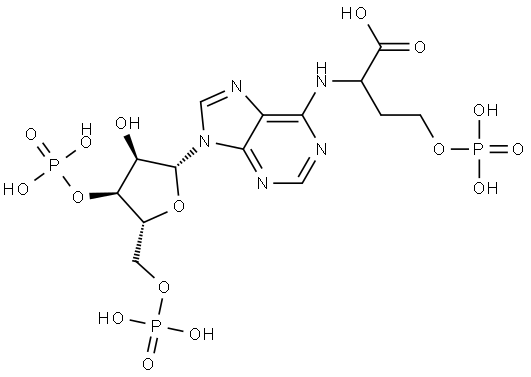 1050202-63-5 结构式