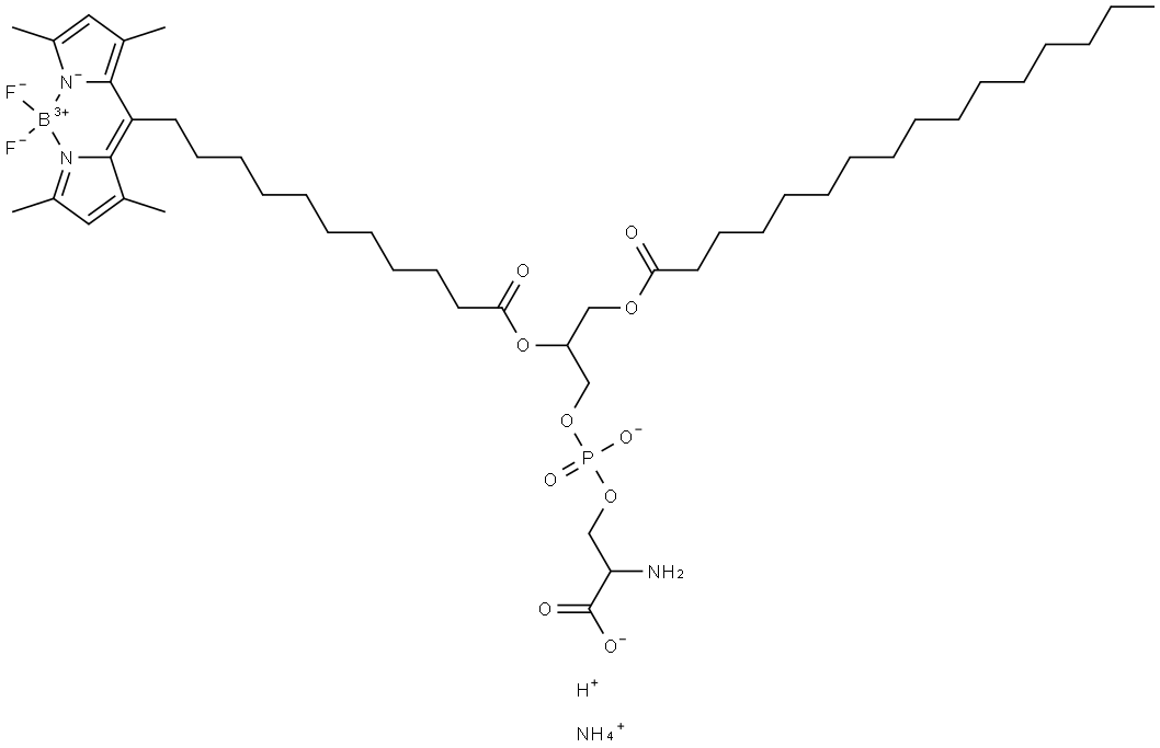 1-PALMITOYL-2-(DIPYRROMETHENEBORON DIFLUORIDE)UNDECANOYL-SN-GLYCERO-3-PHOSPHO-L-SERINE (AMMONIUM SALT);TOPFLUOR PS, 1246355-65-6, 结构式