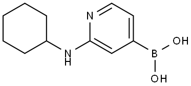 B-[2-(Cyclohexylamino)-4-pyridinyl]boronic acid,1346808-56-7,结构式