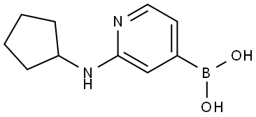 B-[2-(Cyclopentylamino)-4-pyridinyl]boronic acid Structure
