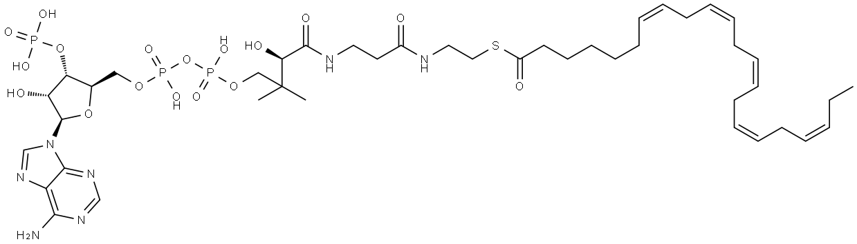 Coenzyme A, S-(7Z,10Z,13Z,16Z,19Z)-7,10,13,16,19-docosapentaenoate|
