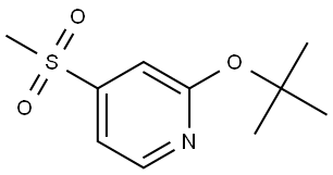 2-(tert-butoxy)-4-(methylsulfonyl)pyridine 结构式