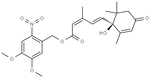 1947375-16-7 结构式
