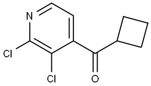 cyclobutyl(2,3-dichloropyridin-4-yl)methanone,2354253-38-4,结构式