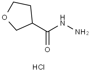 Tetrahydro-3-furancarboxylic acid hydrazide hydrochloride Struktur