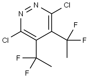 3,6-二氯-4,5-双(1,1-二氟乙基)哒嗪 结构式