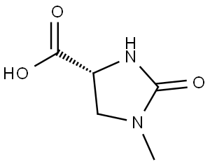 (4R)-1-Methyl-2-oxo-4-imidazolidinecarboxylic acid Struktur