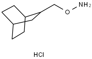 O-(Bicyclo[2.2.2]octan-2-ylmethyl)hydroxylamine hydrochloride|O-(双环[2.2.2]辛-2-基甲基)羟胺盐酸盐