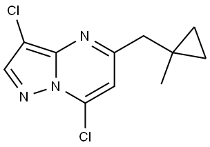 3,7-二氯-5-((1-甲基环丙基)甲基)吡唑并[1,5-A]嘧啶,2805996-66-9,结构式