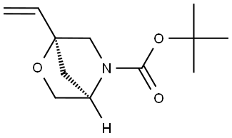 tert-butyl (1S,4R)-1-vinyl-2-oxa-5-azabicyclo[2.2.1]heptane-5-carboxylate Struktur