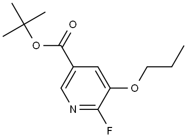tert-butyl 6-fluoro-5-propoxynicotinate Struktur