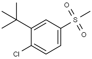 2-(tert-butyl)-1-chloro-4-(methylsulfonyl)benzene Structure