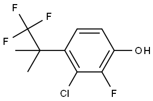 3002076-92-5 3-氯-2-氟-4-(1,1,1-三氟-2-甲基丙-2-基)苯酚