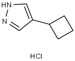 4-cyclobutyl-1H-pyrazole hydrochloride|4-环丁基-1H-吡唑盐酸盐