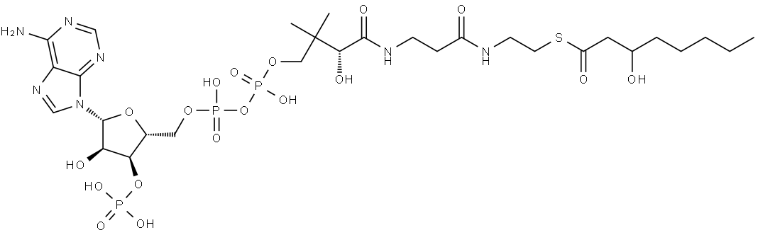 3-Hydroxyoctanoyl-CoA|