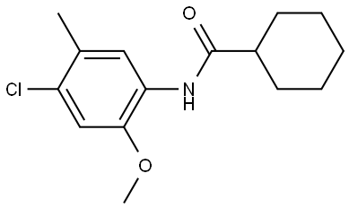N-(4-Chloro-2-methoxy-5-methylphenyl)cyclohexanecarboxamide,449170-28-9,结构式