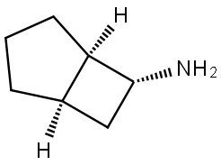rel-(1R,5R,6R)-Bicyclo[3.2.0]heptan-6-amine Structure