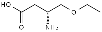 (R)-3-Amino-4-ethoxybutanoic acid Structure