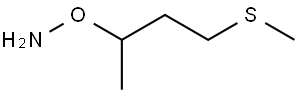 O-(4-methylsulfanylbutan-2-yl)hydroxylamine Struktur