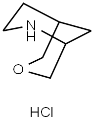 7-Oxa-2-azabicyclo[3.3.1]nonane hydrochloride|7-氧-2-氮杂双环[3.3.1]壬烷盐酸盐