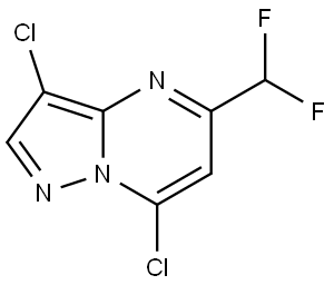 3,7-Dichloro-5-(difluoromethyl)pyrazolo[1,5-a]pyrimidine Struktur