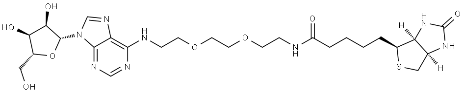 362028-97-5 结构式