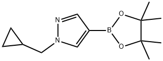 1-(シクロプロピルメチル)-4-(4,4,5,5-テトラメチル-1,3,2-ジオキサボロラン-2-イル)-1H-ピラゾール 化学構造式