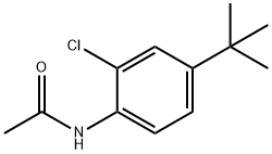 N-(4-TERT-BUTYL-2-CHLOROPHENYL)ACETAMIDE|N-(4-(叔丁基)-2-氯苯基)乙酰胺