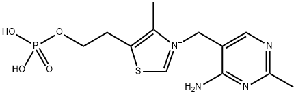 3-[(4-Amino-2-methyl-5-pyrimidinyl)methyl]-4-methyl-5-[2-(phosphonooxy)ethyl]thiazolium