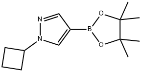 N-环丁基-吡唑-4-频哪醇二硼酸酯, 1002309-48-9, 结构式