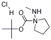 (3S)-3-(甲氨基)吡咯烷-1-羧酸叔丁酯盐酸盐,1004538-30-0,结构式