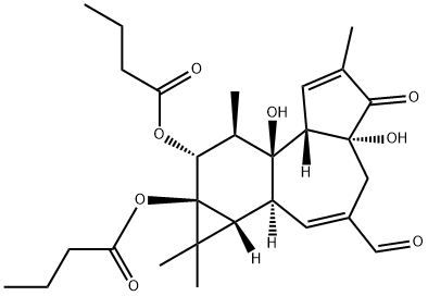 20-OXO-20-DEOXYPHORBOL 12,13-DIBUTYRATE Structure