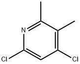 4,6-二氯-2,3-二甲基吡啶 结构式