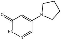 5-(1-ピロリジニル)-3(2H)-ピリダジノン 化学構造式