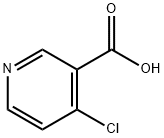 4-クロロニコチン酸 化学構造式