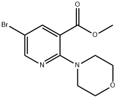 メチル5-ブロモ-2-モルホリノニコチナート 化学構造式