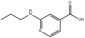 2-(プロピルアミノ)イソニコチン酸 化学構造式