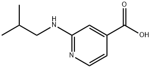 2-(Isobutylamino)isonicotinic acid Struktur