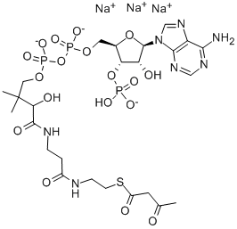 アセトアセチルコエンザイムAナトリウム塩 化学構造式