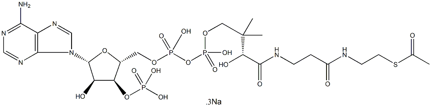 アセチルコエンザイムA ナトリウム塩 化学構造式