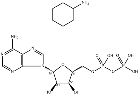 アデノシン 5′-二リン酸 ビス(シクロヘキシルアンモニウム)塩 化学構造式