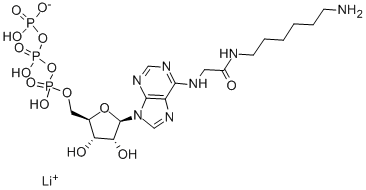 N6-([6-AMINOHEXYL]CARBAMOYL-METHYL)ADENOSINE 5'-TRIPHOSPHATE LITHIUM SALT 结构式