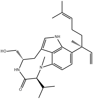 TELEOCIDINA-2 Struktur