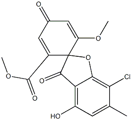 SS-19508B Structure