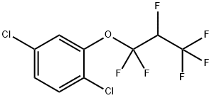1,4-dichloro-2-(1,1,2,3,3,3-hexafluoropropoxy)benzene Structure