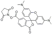 3',6'-Bis(diMethylaMino)-3-oxospiro[isobenzofuran-1(3H),9'-[9H]xanthene]-6-carboxylic Acid 2,5-Dioxo-1-pyrrolidinyl Ester|3',6'-双(二甲基氨基)-3-氧代-螺[异苯并呋喃-1(3H),9'-[9H]氧杂蒽]-6-羧酸 2,5-二氧代-1-吡咯烷基酯